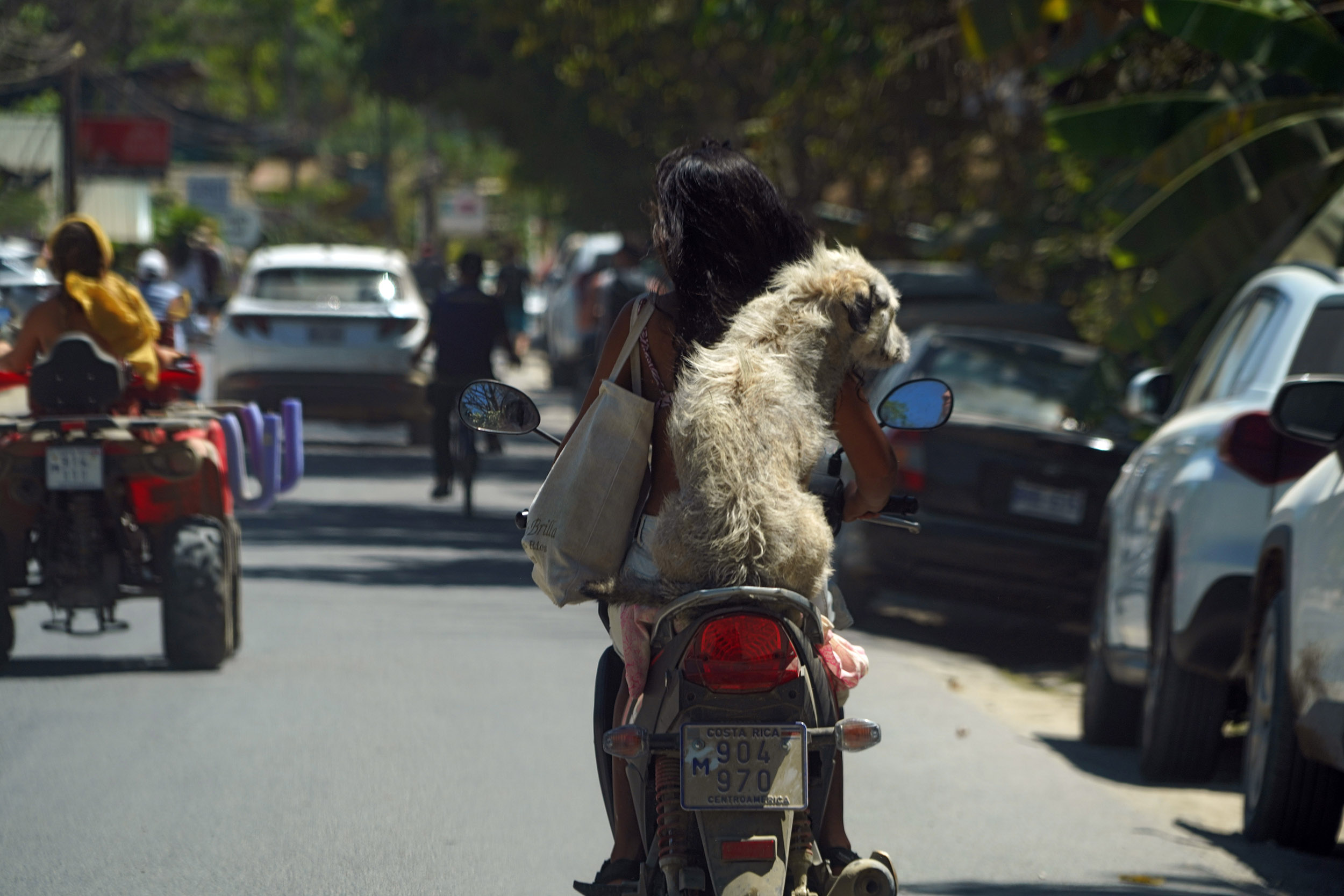 Costa Rica - Février 2025